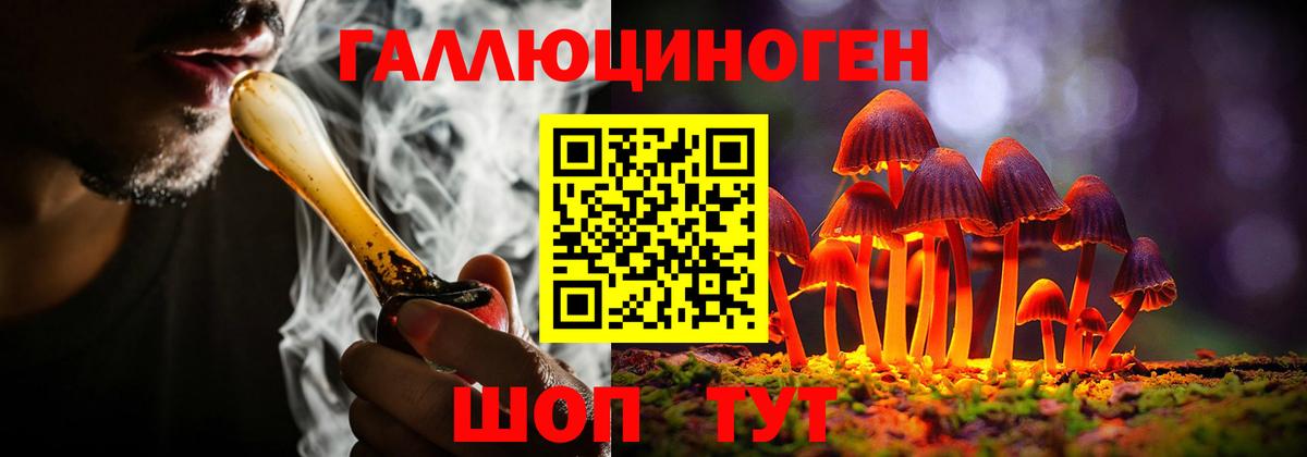 Псилоцибиновые грибы GOLDEN TEACHER  Вход с VPN  Галлюциногенные грибы Magic Shrooms  Алапаевск 